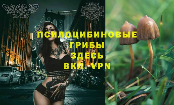 spice Сафоново