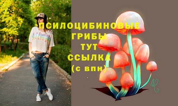 таблы Дмитриев