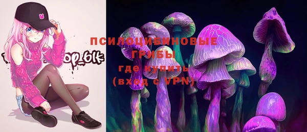 соль ск Алзамай