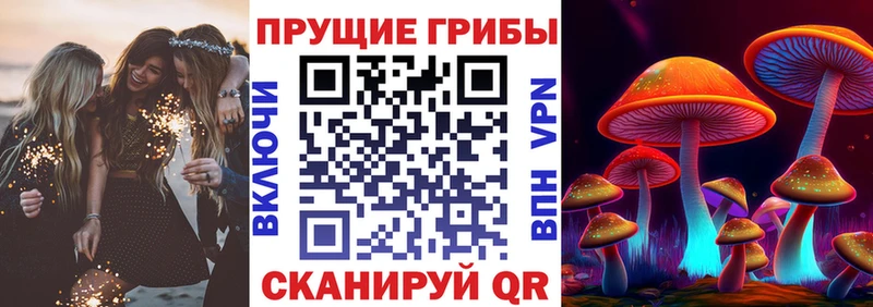 Псилоцибиновые грибы мухоморы  kraken ссылки  Заинск  закладки 